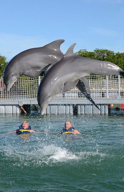 Delfinario Cayo Guillermo